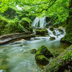 Breathe In, Begin Again