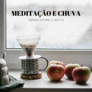 Meditaciones Perspicaces
