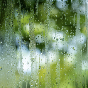 二十三点的雨