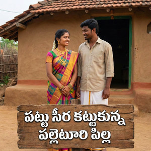 Pattu Seera Kattukuna Paleturi Pilla