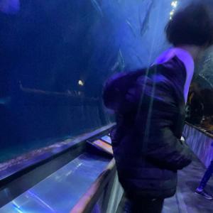 End (feat. RSX & CSM)