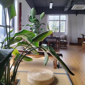 良宵引（丝弦）