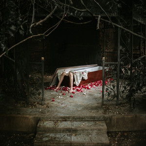 Pertanyaan / Pernyataan