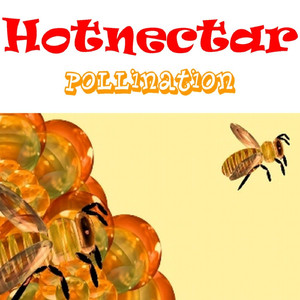 Spark Nectar (Remix)