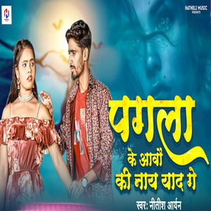 Pagla Ke Aavau Ki Nay Yaad Ge