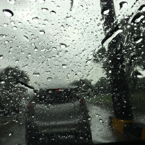 Best Ambient Sound of Soft Rain 7