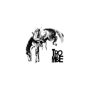 La Monte Du Cheval Avec Et Sans Selle