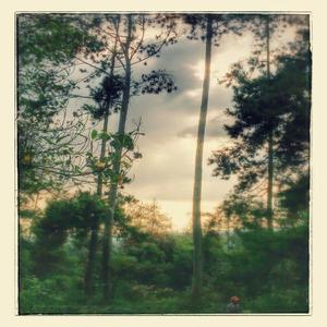 meandering cikapundung river