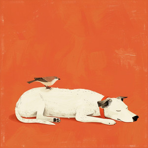 Toldo Binaural De Calma Para Perros