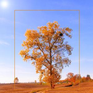 빗소리와의 명상 (잊어버리기)