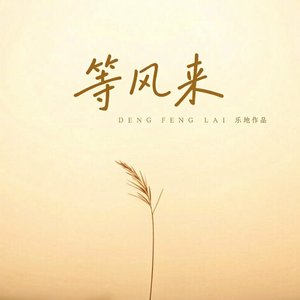 这世界最美的花