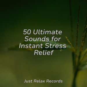 Legacy's Echoing Cry