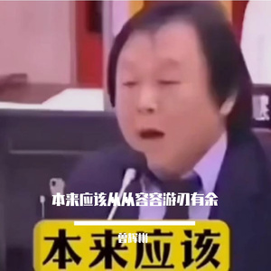 本来应该从从容容游刃有余