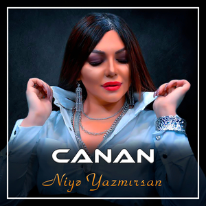 Niyə Yazmırsan
