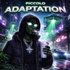 Adaptation