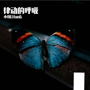 律动的呼吸
