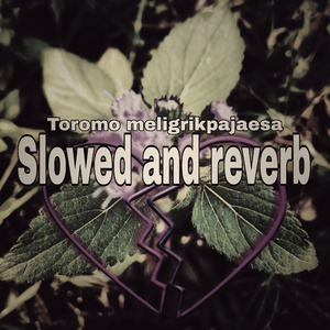 Toromo meligrikpajaesa (Slowed & reverb)