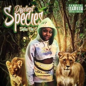 I'm Lifted (feat. Shakey Da Suplya)