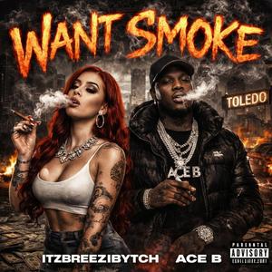Want smoke (feat. AceB)