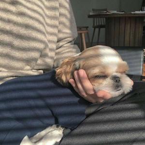 半空（翻自 陈之）