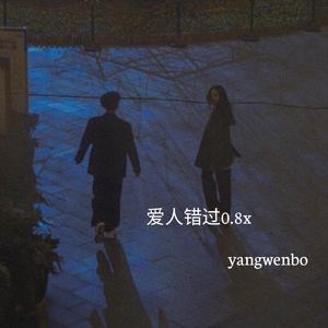 爱人错过0.8x
