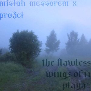 The Flawless Wings Of 11 Playaz
