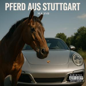 Pferd aus Stuttgart