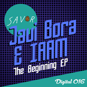 The Beginning (Original Mix)