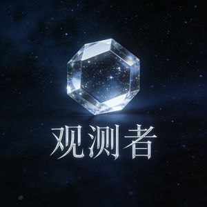 观测者