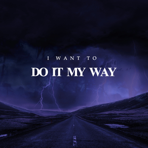 I WANT TO DO IT MY WAY