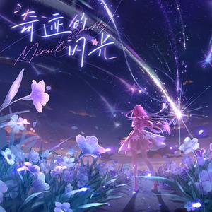 奇迹的闪光