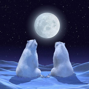 月夜（翻自 双笙）