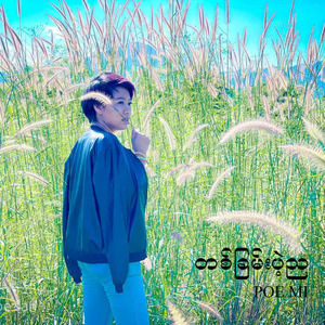 တစ်ခြမ်းပဲ့ည