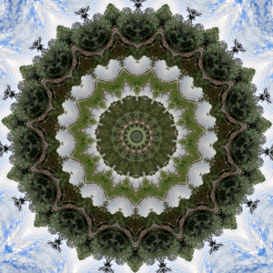 Delight in heedfulness