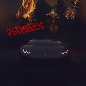 Nerdesin