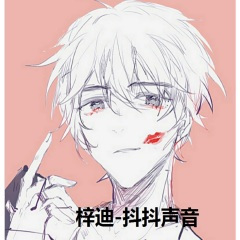 抖抖声音最火车载电音 (DJ版)