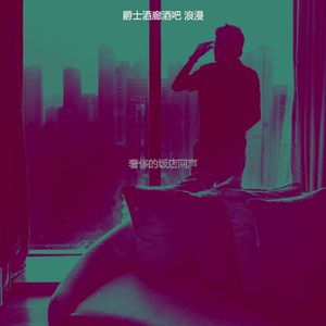 精彩酒店酒吧环境