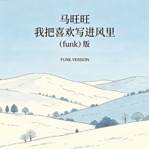 我把喜欢写进风里（funk版）
