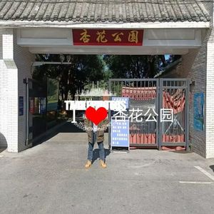 杏花公园