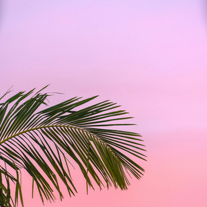 夏日晚风