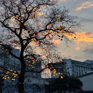 不管你走到哪里