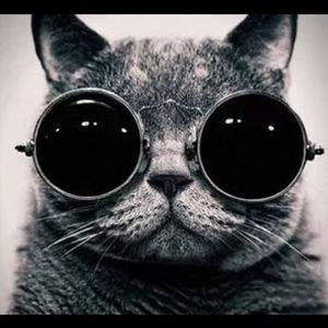 绿叶轻摇的旋律