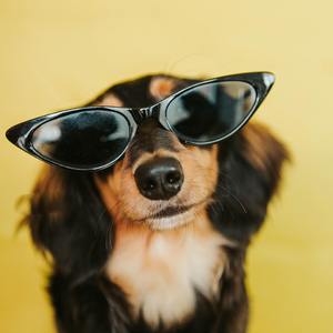 梅江回憶錄（demo)