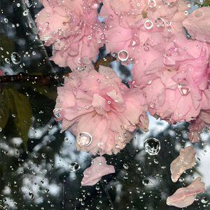 赌上世界的决定