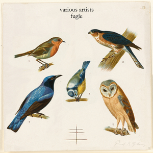 Düssel (Keybird Version)