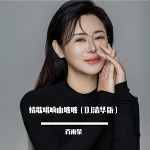 情歌唱响山坡坡【DJ版伴奏】
