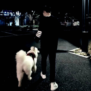 ks·子奕-黑夜的星光