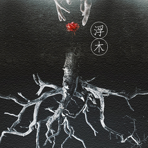 王源生贺-浮木（翻自 Elisa）