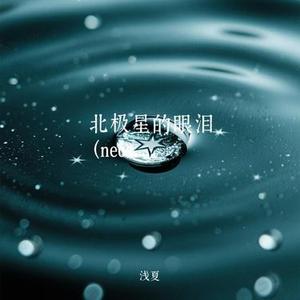 北极星的眼泪  (neosoul) (Cover 梦镜里的算法)