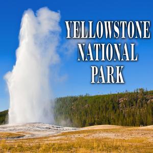Fumaroles of Steam Vents Hottest Hyrothermal Feature of the Park